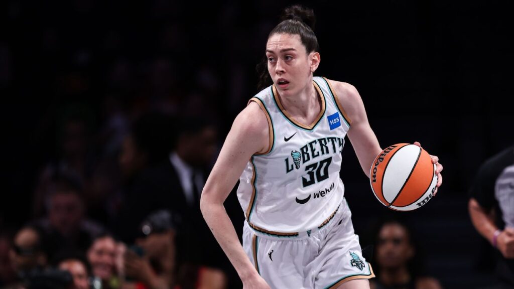 WNBA stars to launch 3-on-3 league in January